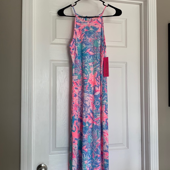 Lilly Pulitzer Dresses & Skirts - NWT Lilly Pulitzer Margot Maxi Dress size S!
